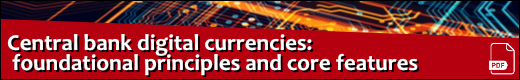 Central Bank Digital Currencies: Principals and features